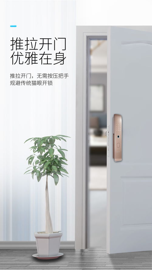 樱花锁业dz r7电子锁简介